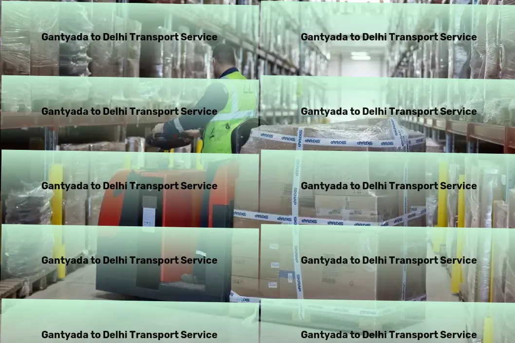 Gantyada to Delhi Luggage Courier Customized goods shipment services